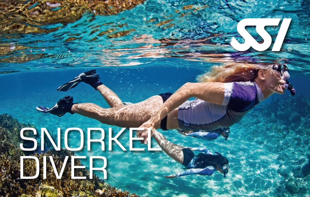 Snorkeling SSI