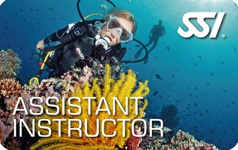 Dive Controll Specialist / Assistant Instructor SSI