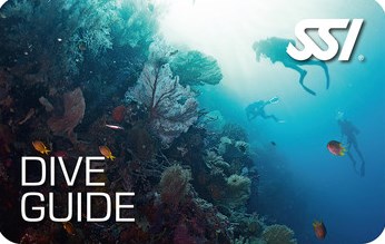 Dive Guide SSI
